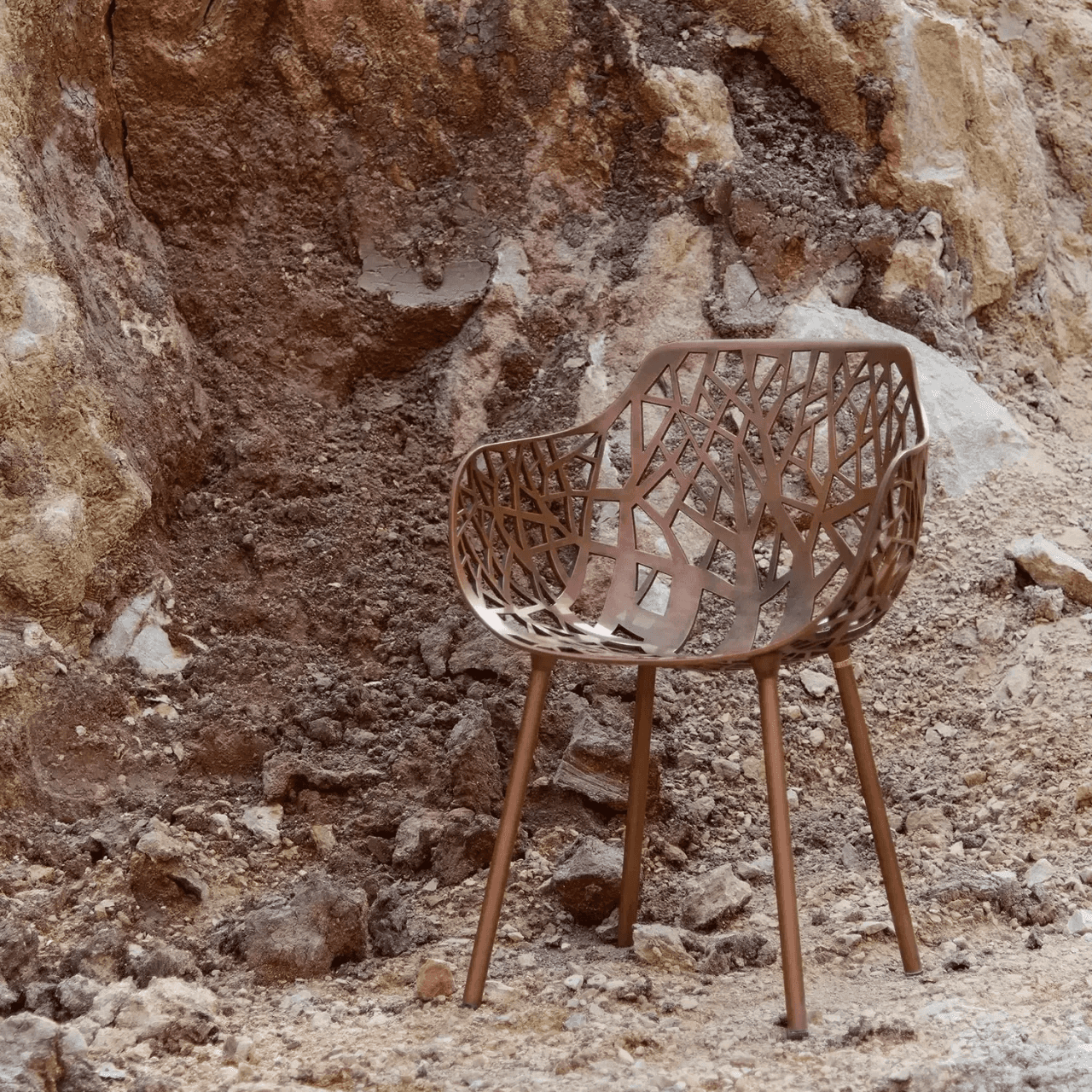 FAST FOREST LIMITED EDITION 12