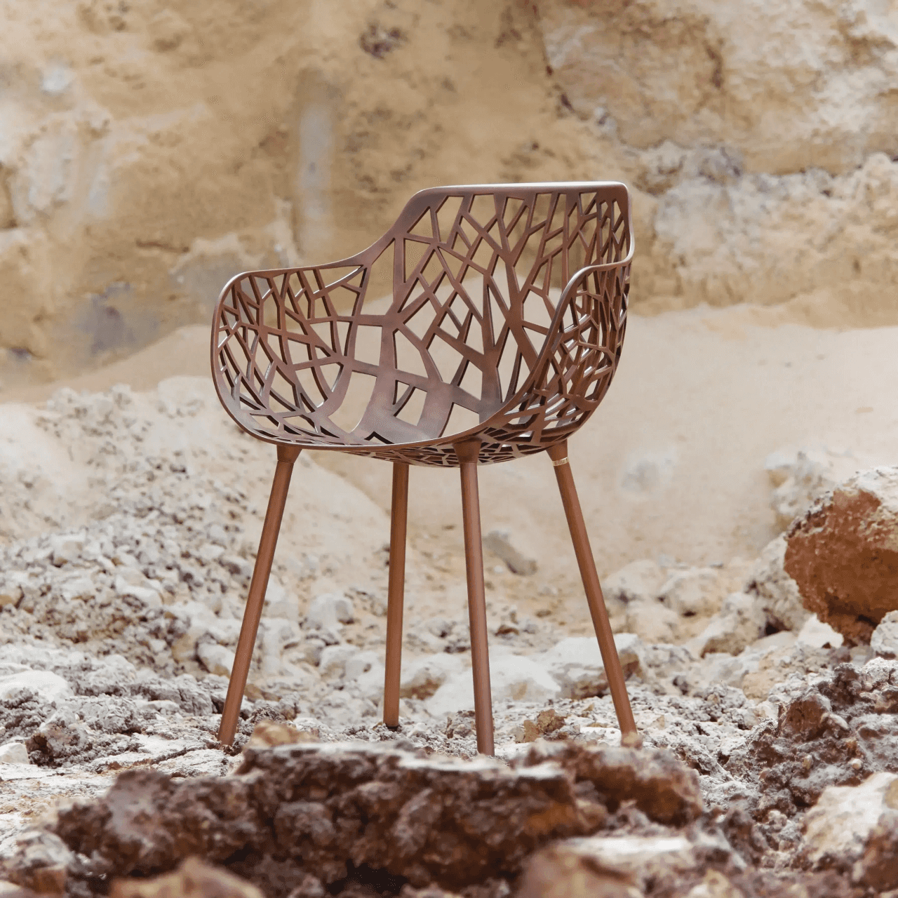 FAST FOREST LIMITED EDITION 1